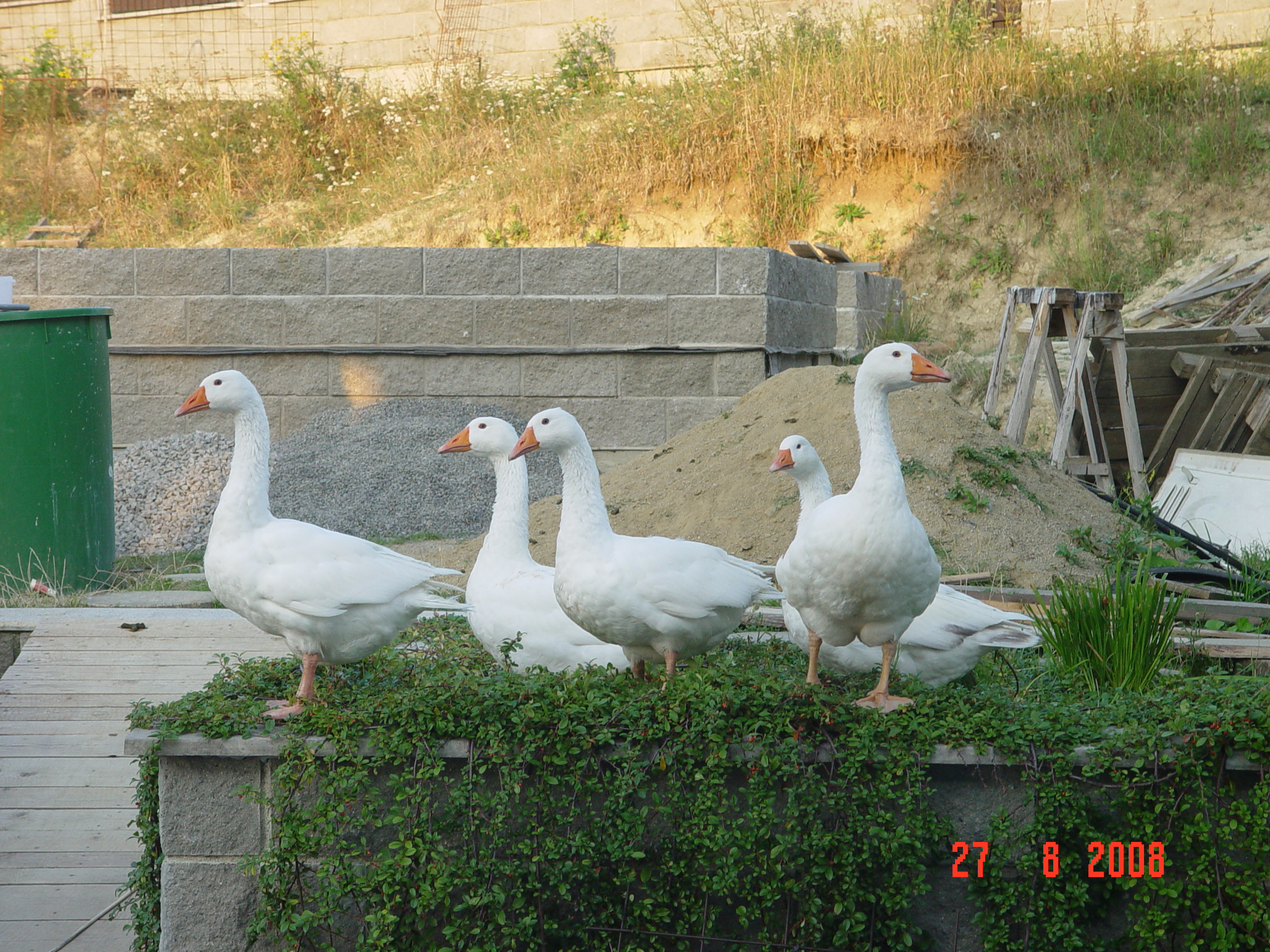 Snímek 113.jpg