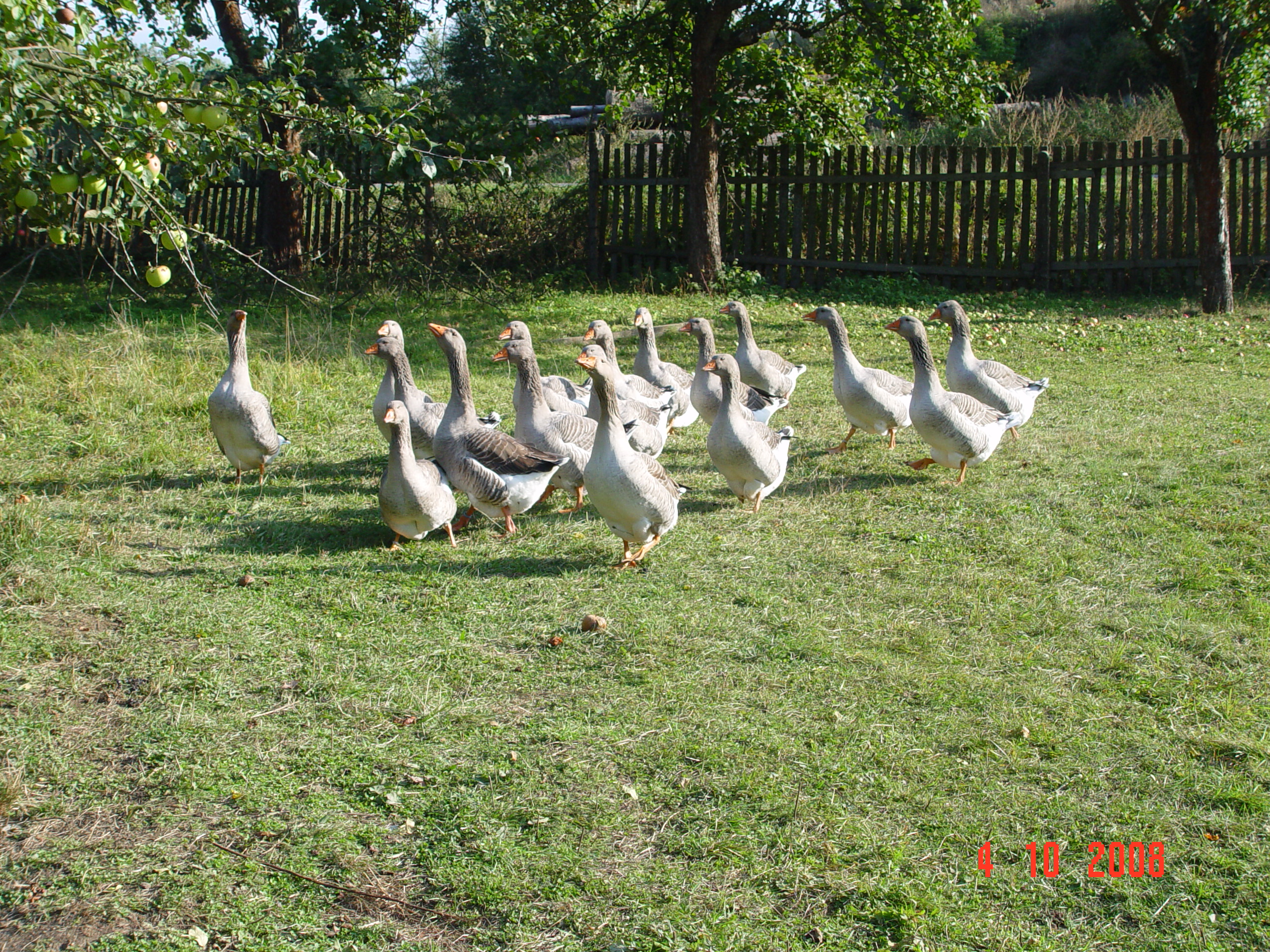 DSC09941.JPG