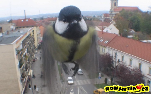 poza_pro_fotografa.jpg